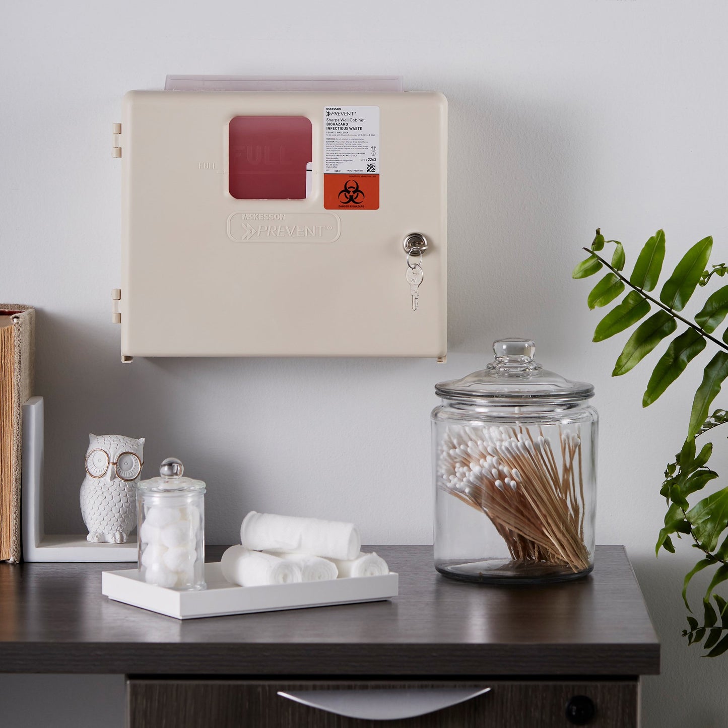 McKesson Prevent® Sharps Container Cabinet / Wall Enclosure High Impact Polystyrene Wall Mount Locking (855128_EA)