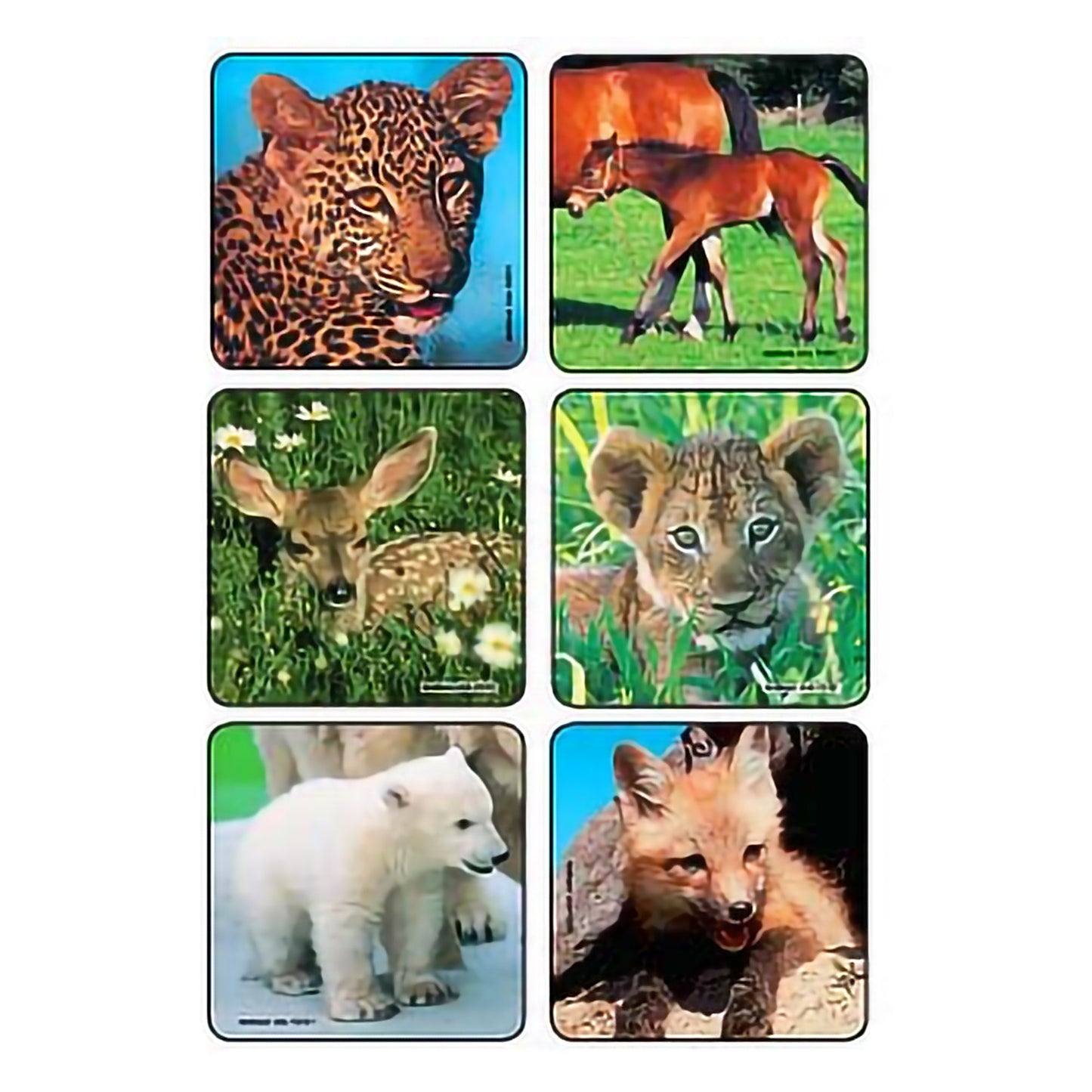Kids Love Stickers® 90 per Pack Baby Animal Photos , Assorted Sticker 2-1/2 Inch (884148_PK)