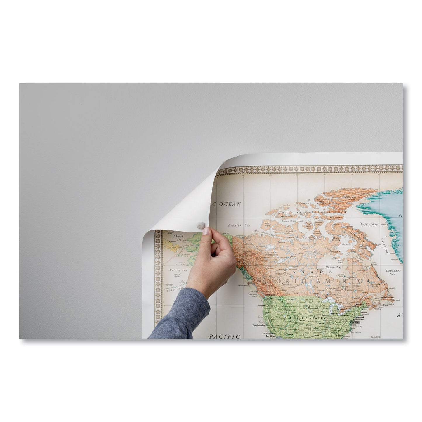 duck-poster-putty-num-ducpty2_3