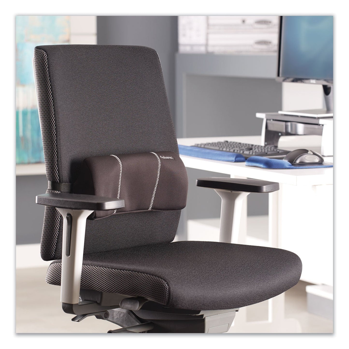 fellowes-lumbar-back-support-num-fel9190701_4