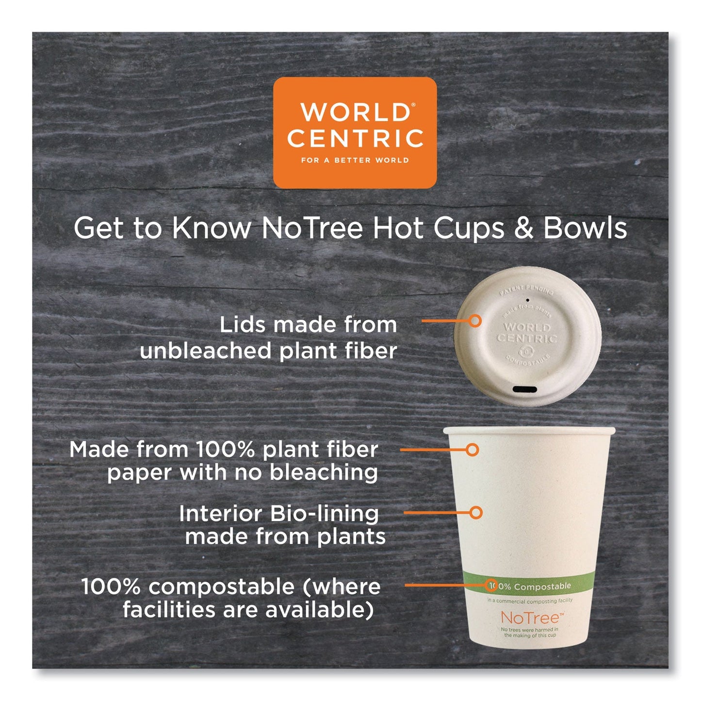 world-centric-no-tree-paper-bowls-num-worbosu16_2