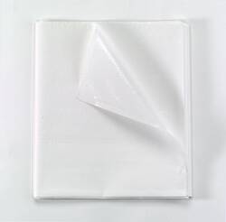 Fabri-Cel® Choice Stretcher Sheet Flat 40 X 84 Inch White Tissue / Polyethylene Film Disposable (194525_CS)