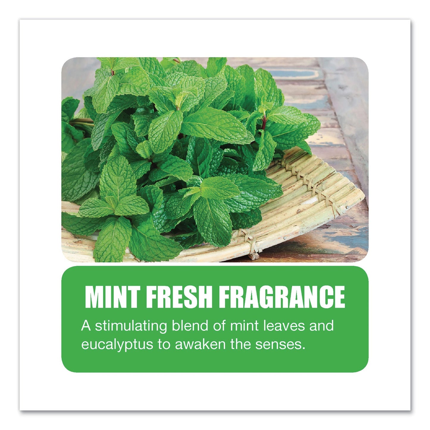 big-d-enzym-d-digester-deodorant-num-bgd1504_4