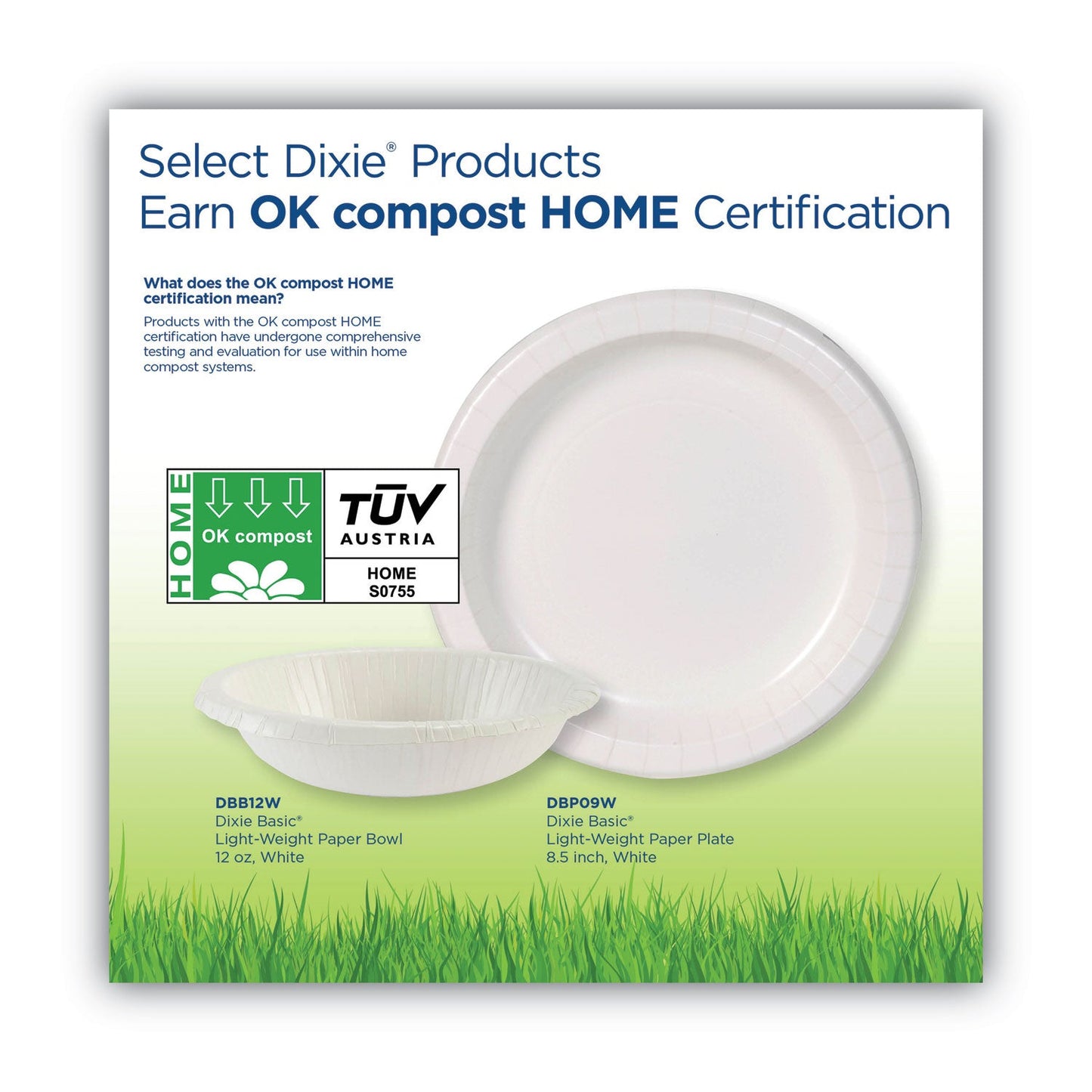 dixie-basic-paper-dinnerware-num-dxedbp09w_4