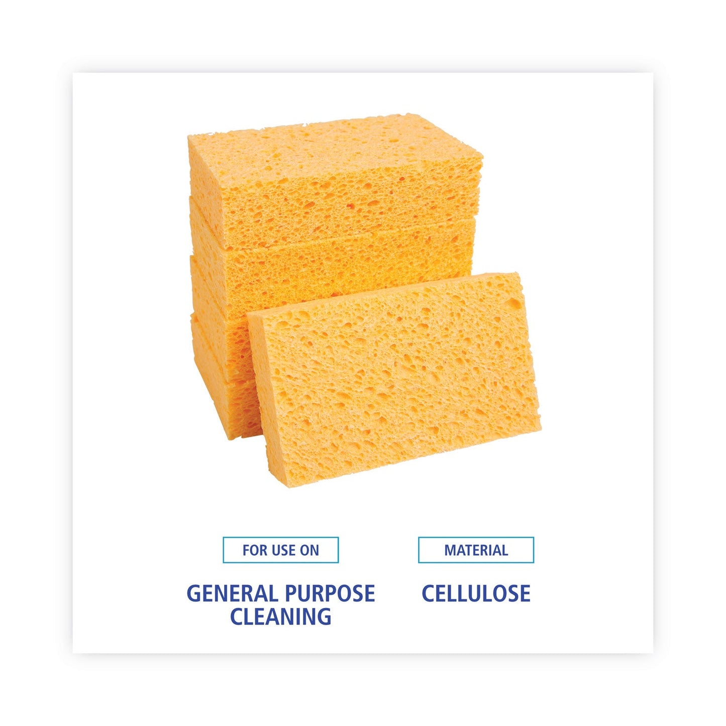 boardwalk-medium-cellulose-sponge-num-padcs2_6
