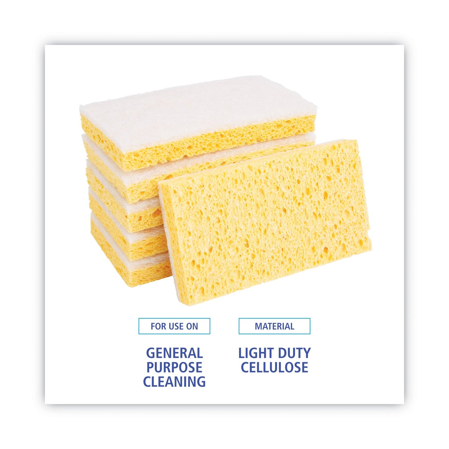 boardwalk-scrubbing-sponge-num-pad16320_3
