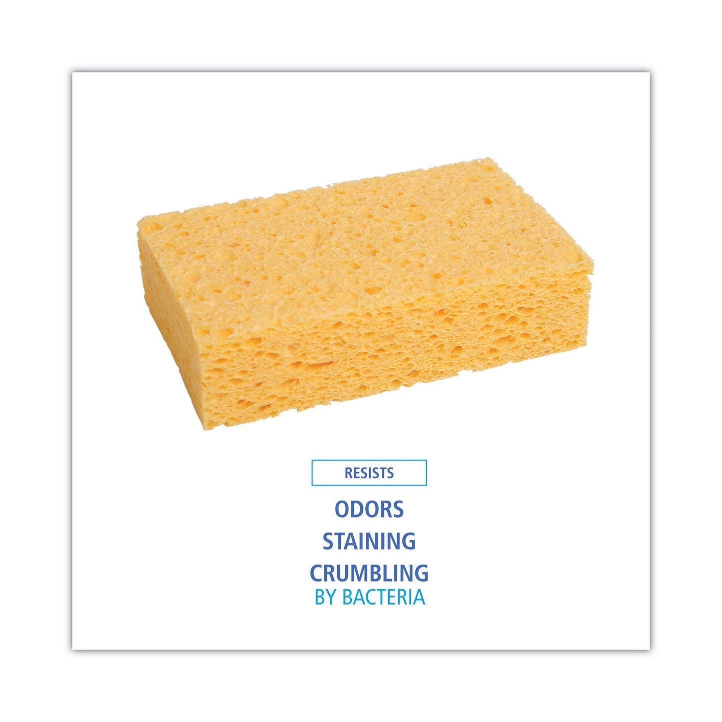 boardwalk-medium-cellulose-sponge-num-padcs2_5