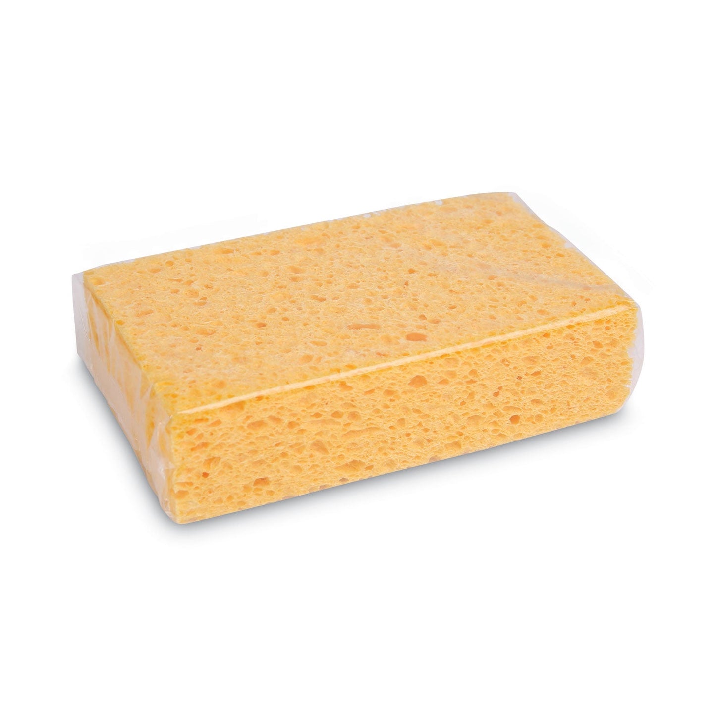 boardwalk-medium-cellulose-sponge-num-padcs2_2