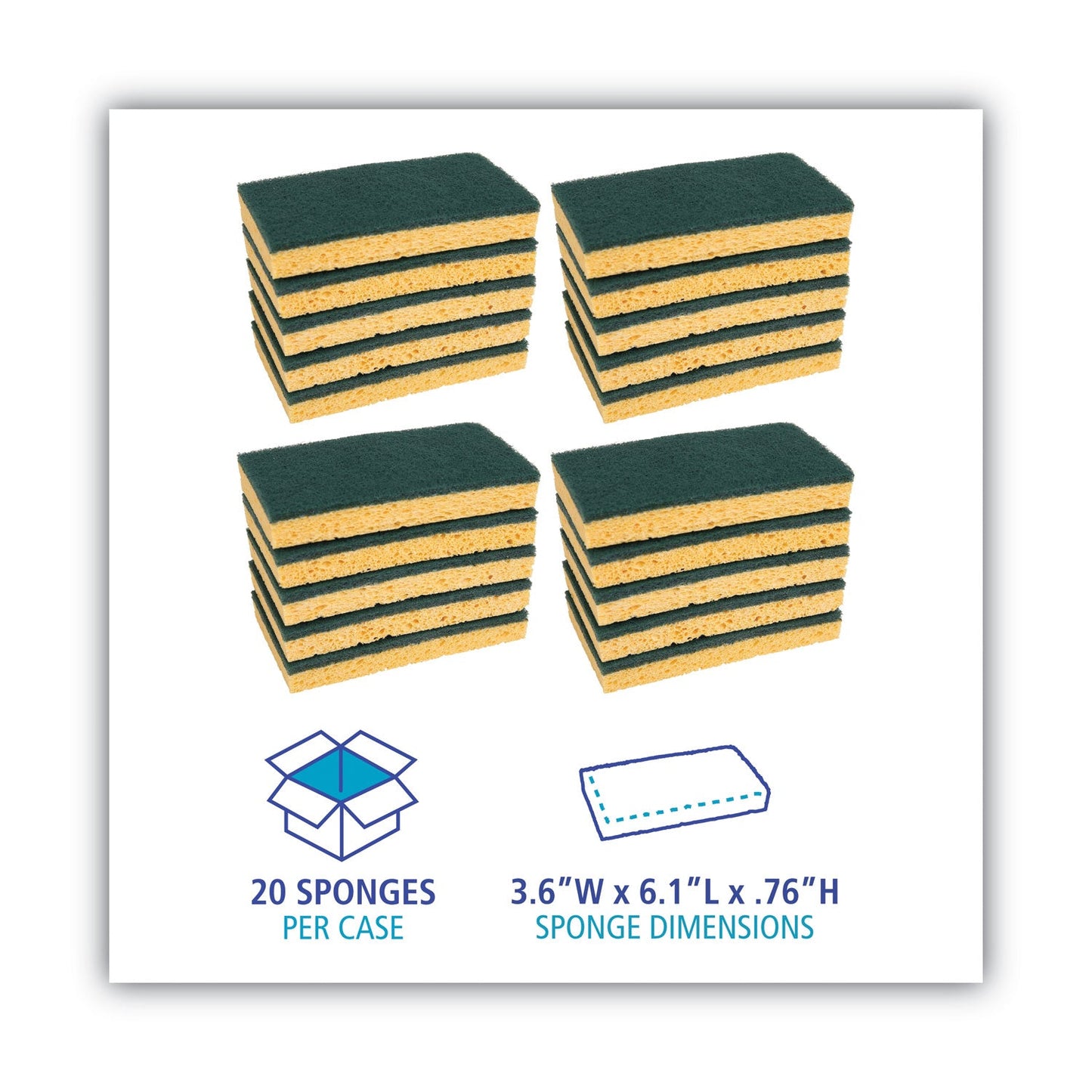 boardwalk-scrubbing-sponge-num-pmp174_5