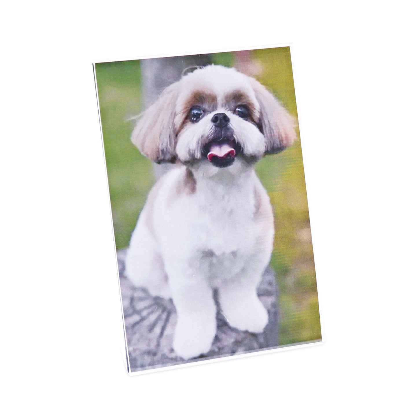 universal-clear-l-style-freestanding-frame-num-unv76850_5