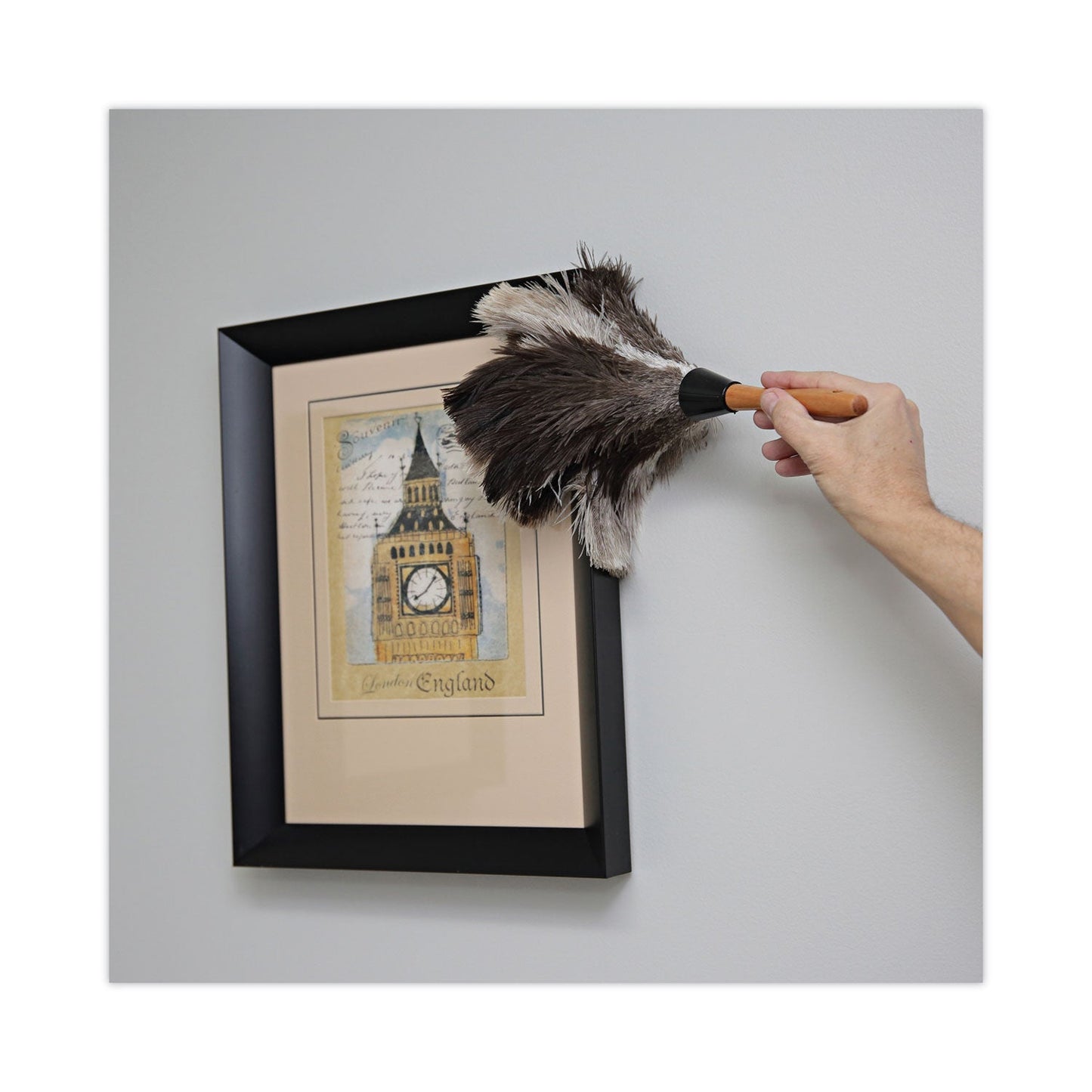 boardwalk-professional-ostrich-feather-duster-num-uns13fd_5