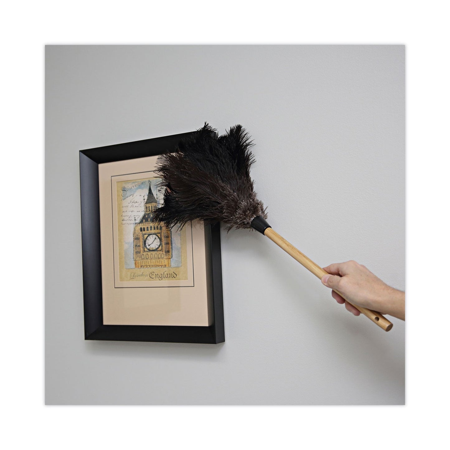 boardwalk-professional-ostrich-feather-duster-num-bwk20bk_5