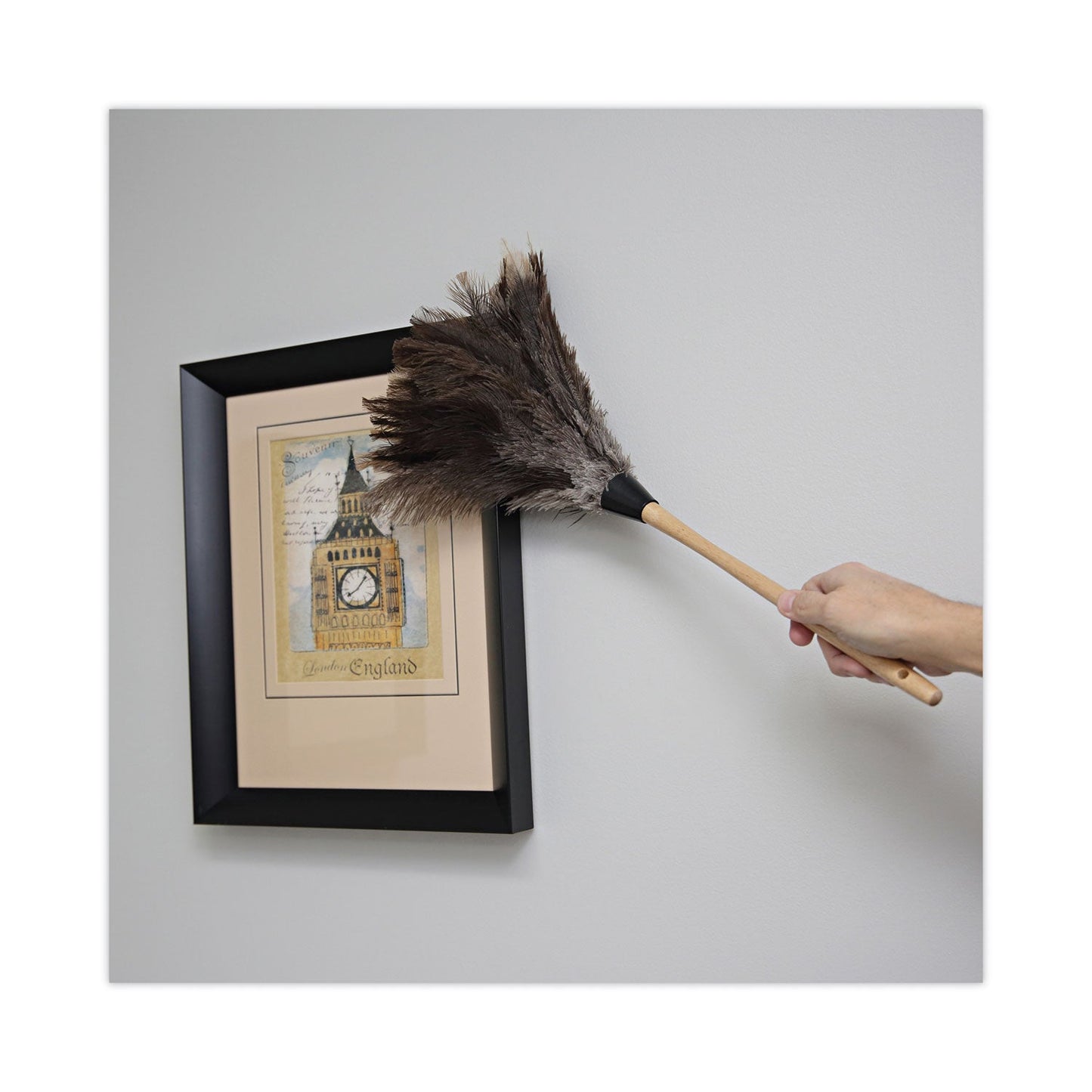 boardwalk-professional-ostrich-feather-duster-num-bwk23fd_5