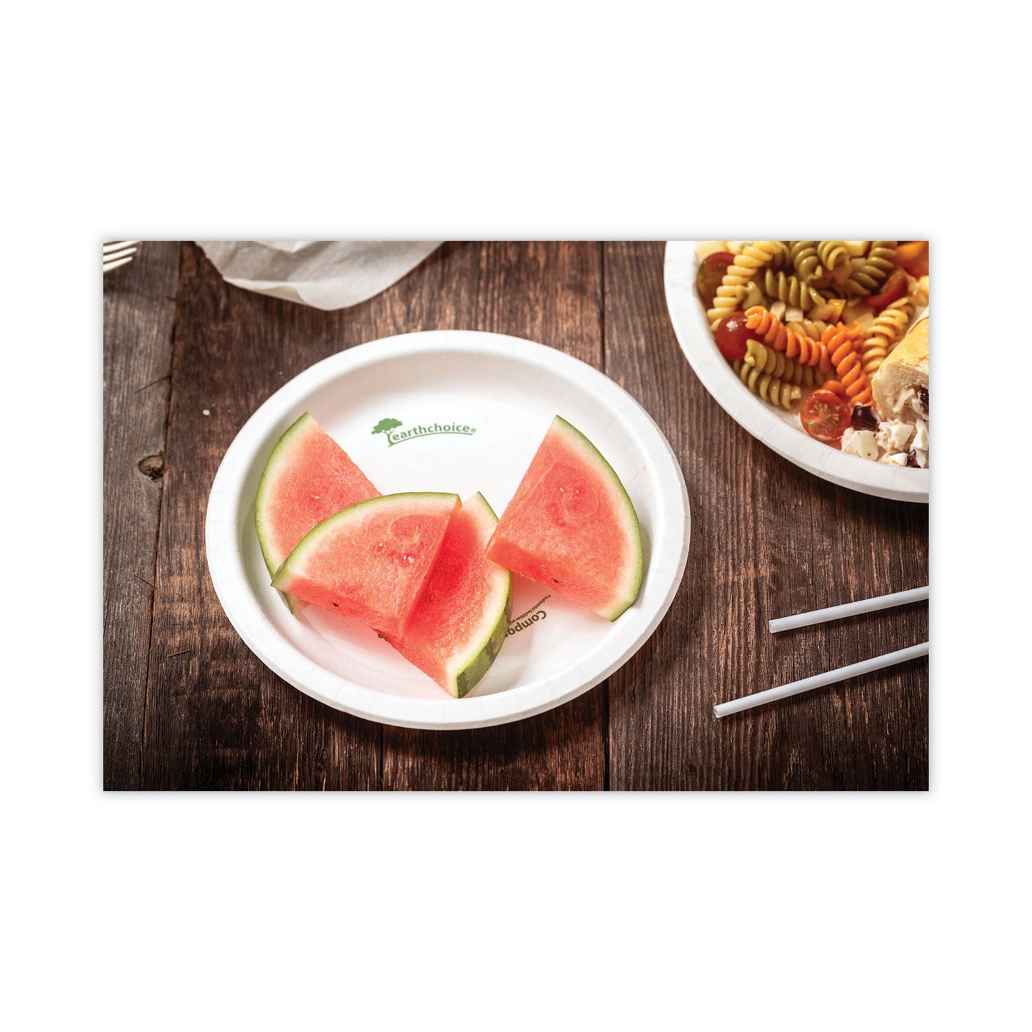 pactiv-earthchoice-pressware-compostable-dinnerware-num-pctpsp09ec_4