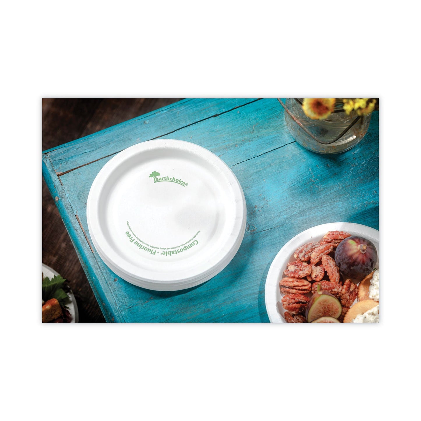 pactiv-earthchoice-pressware-compostable-dinnerware-num-pctpsp06ec_5