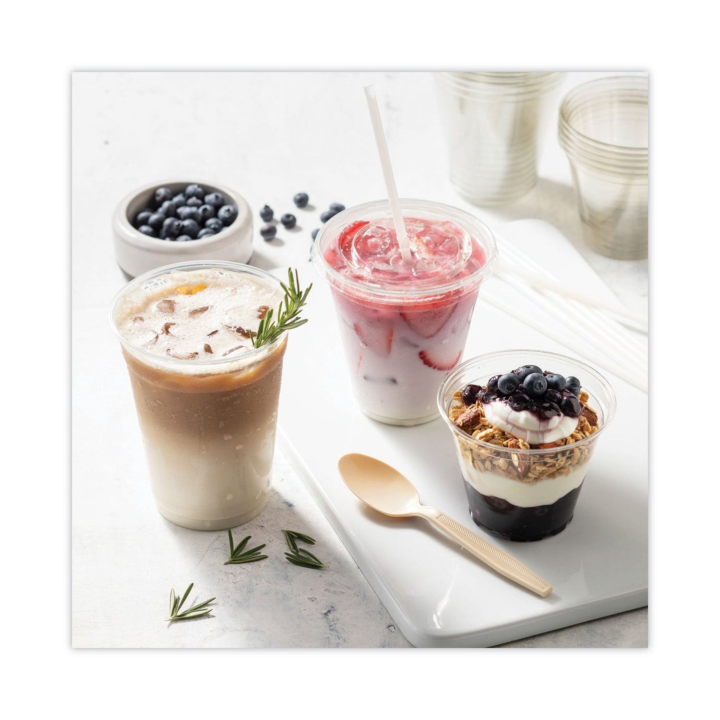 pactiv-earthchoice-psm-cutlery-num-pctypsmstec_6