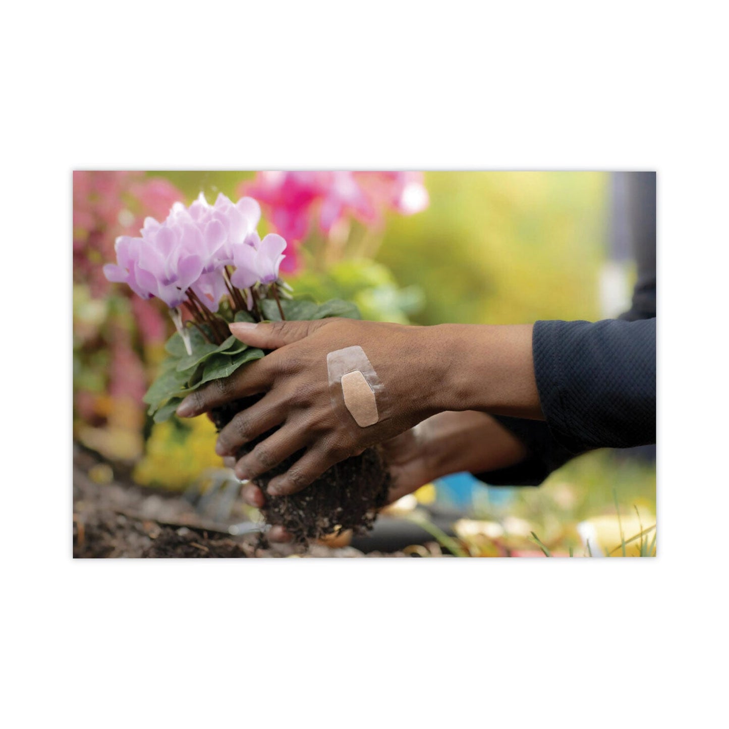 nexcare-waterproof-num-mmm43250_3