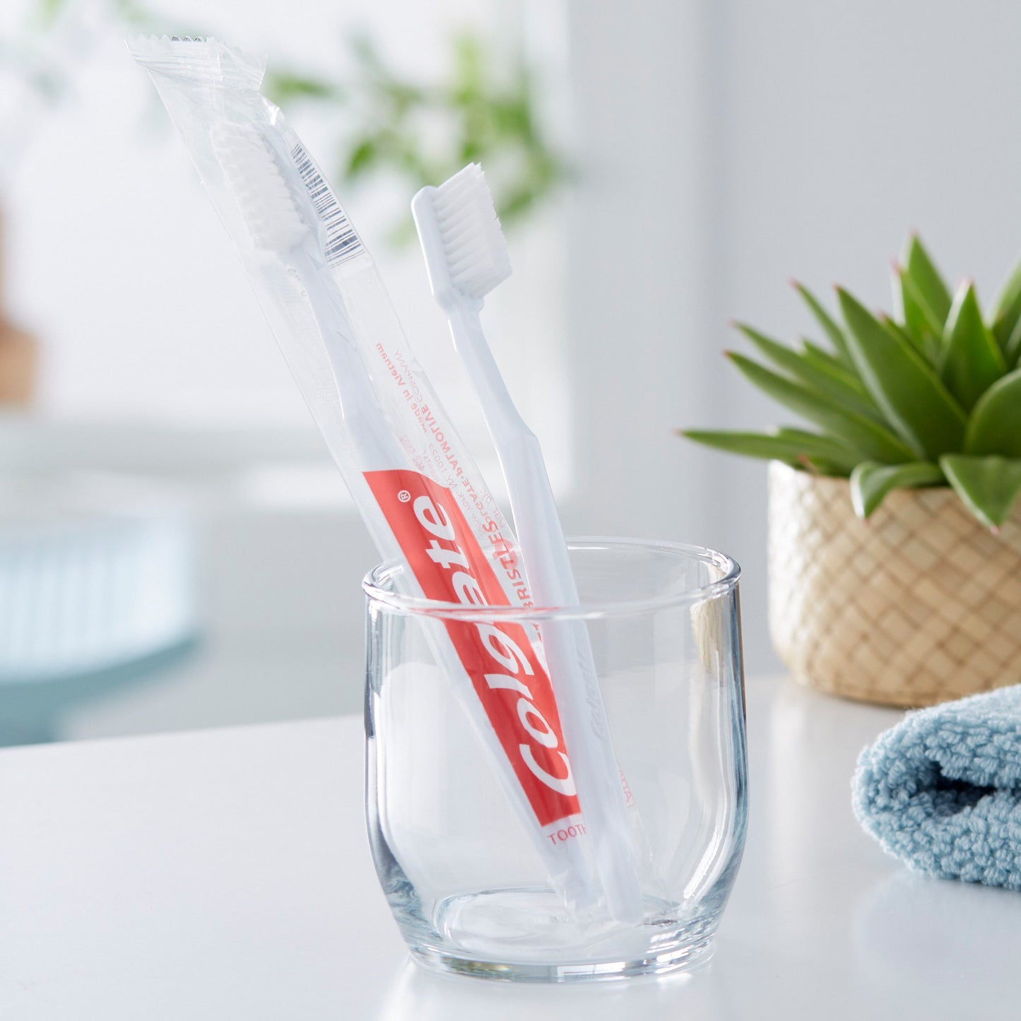 Colgate® Toothbrush White Adult Soft (724618_EA)