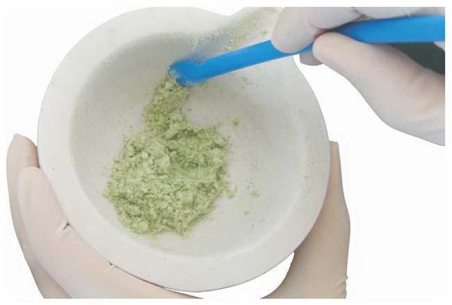 LevGo® smartSpatula® Lab Spatula 7 X 210 mm, Blue, Autoclavable, Disposable (1028719_PK)