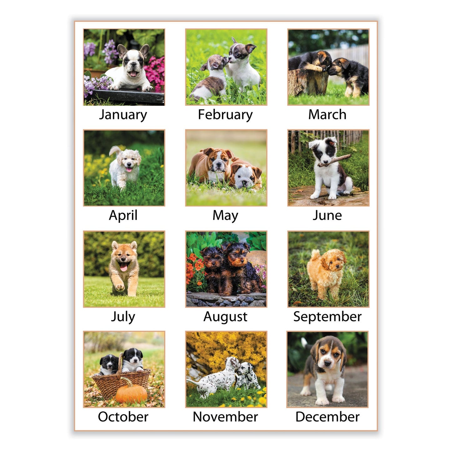 at-a-glance-puppies-monthly-desk-pad-calendar-num-aagdmd16632_3