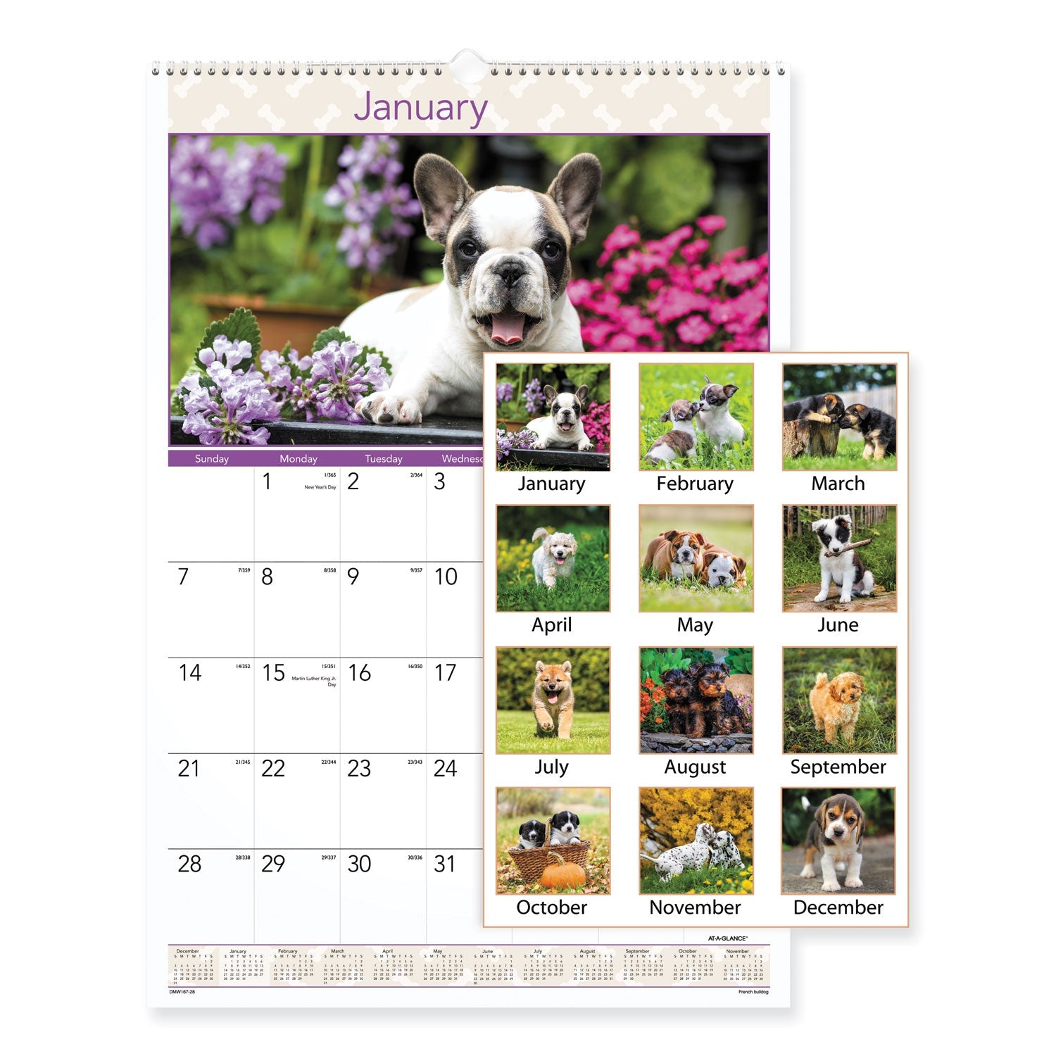 at-a-glance-puppies-monthly-wall-calendar-num-aagdmw16728_1