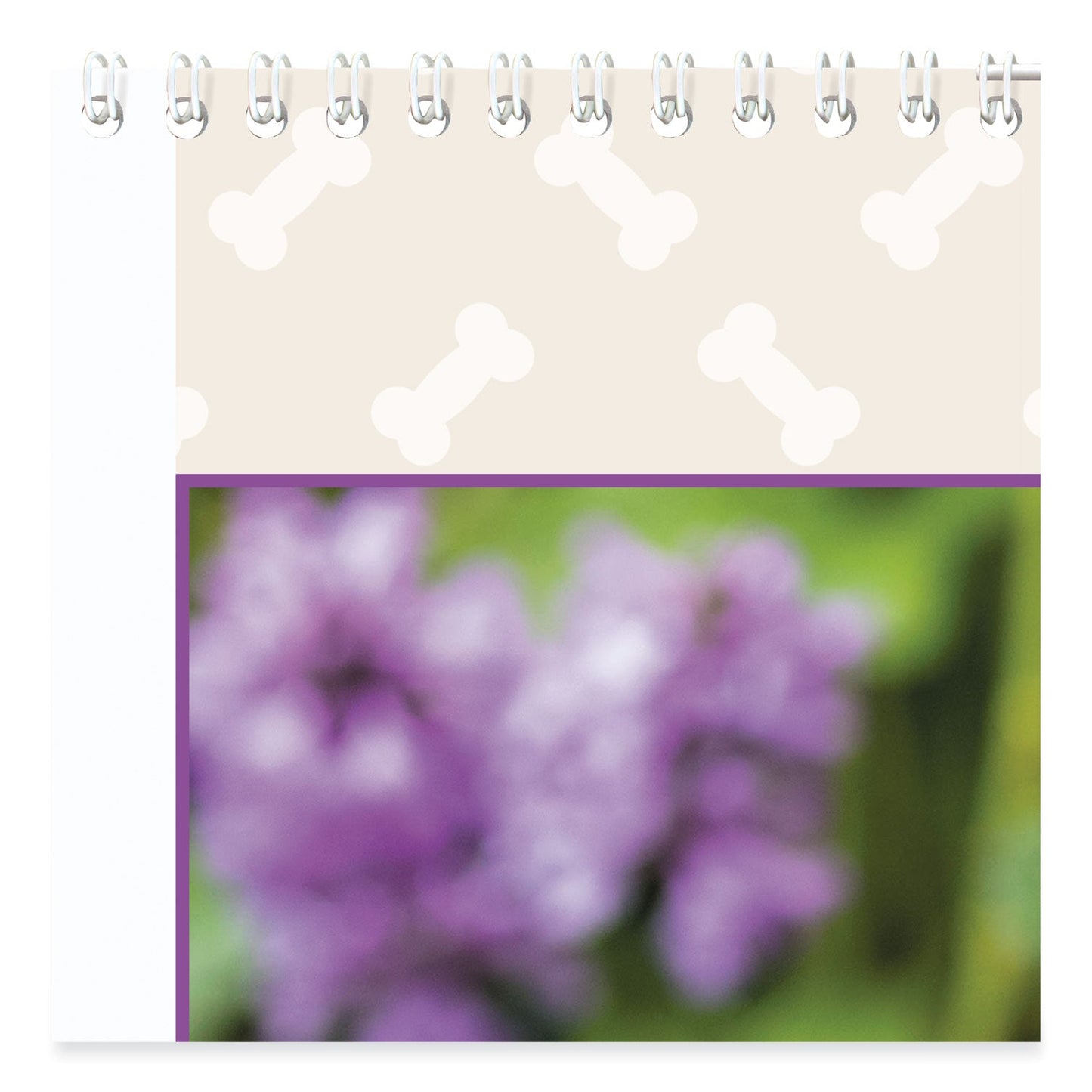 at-a-glance-puppies-monthly-wall-calendar-num-aagdmw16728_6