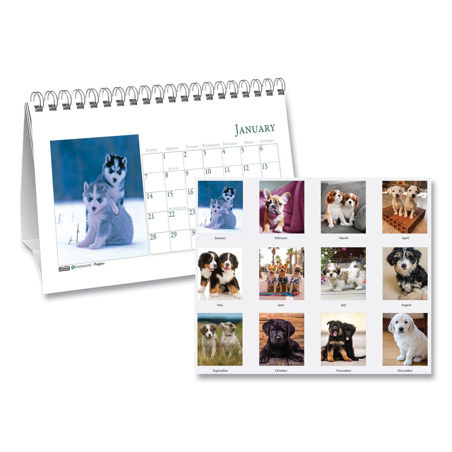 house-of-doolittle-earthscapes-recycled-desk-tent-monthly-calendar-num-hod3659_1