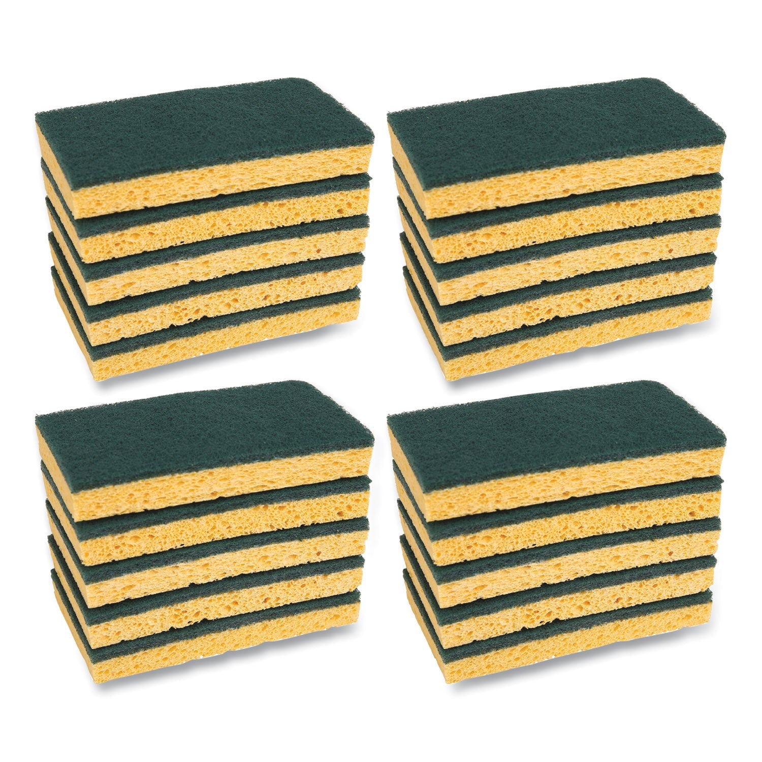 boardwalk-scrubbing-sponge-num-pmp174_1