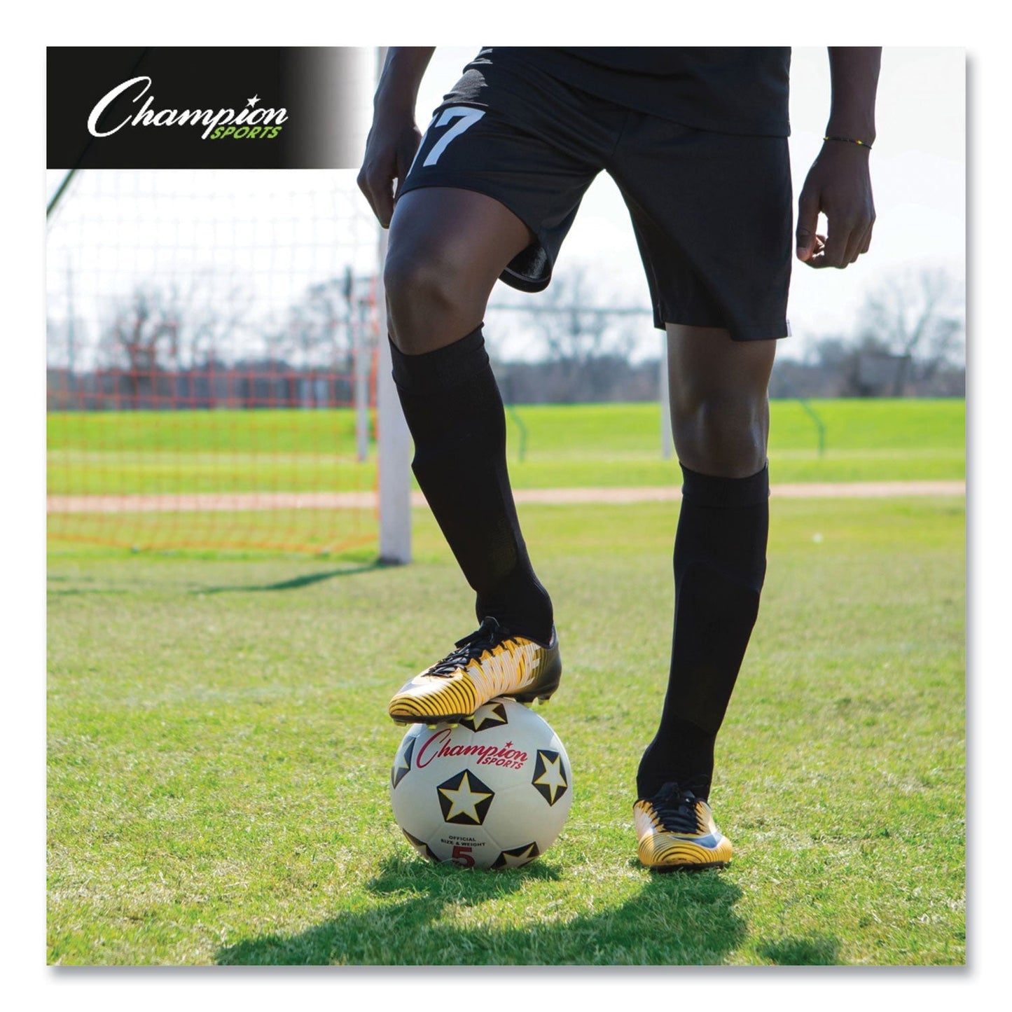 champion-rubber-sports-ball-num-csisrb5_5