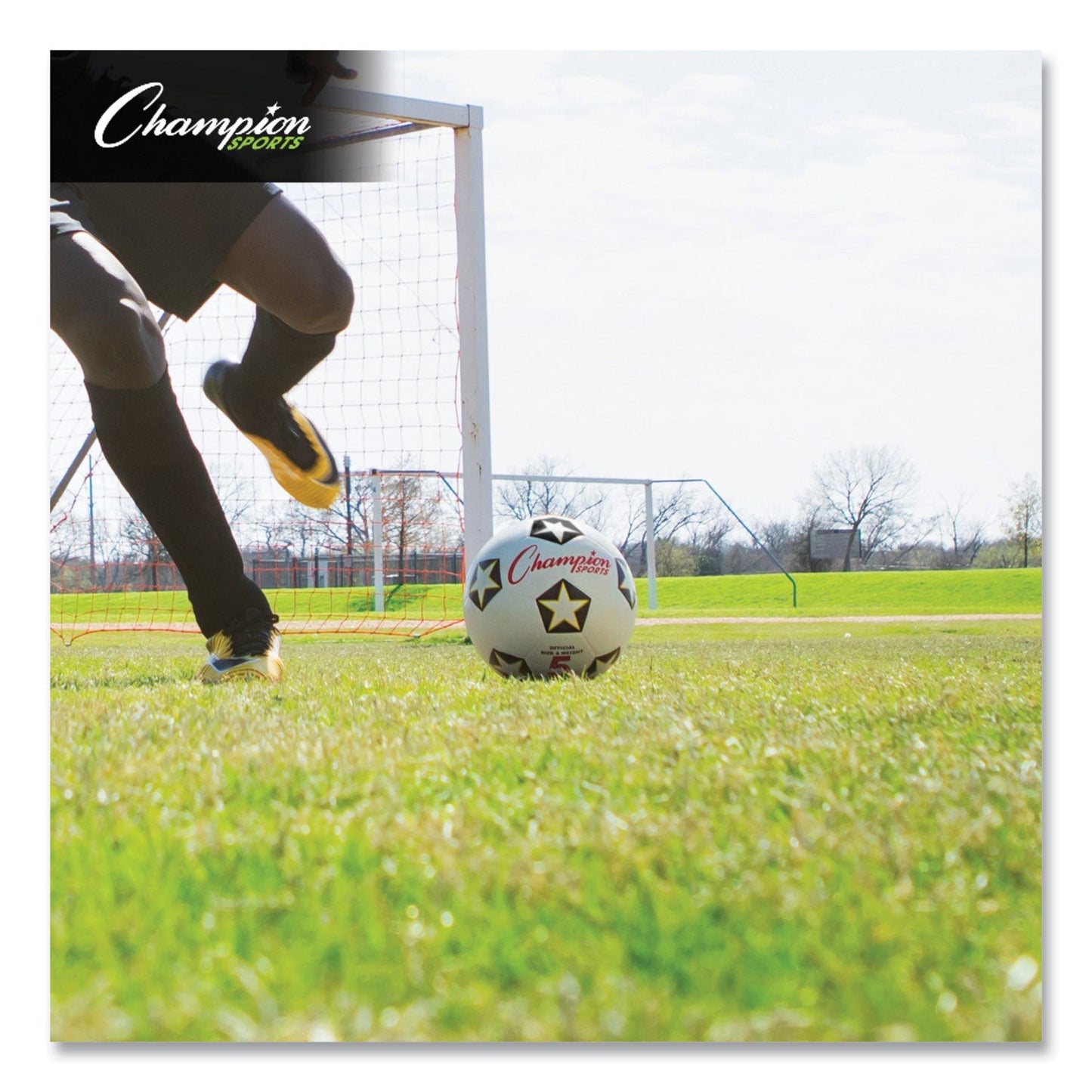 champion-rubber-sports-ball-num-csisrb5_6