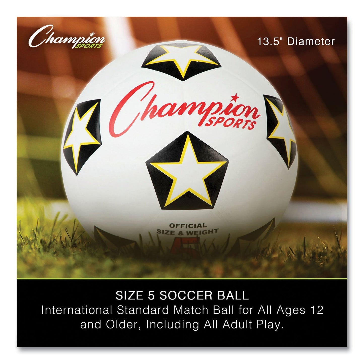 champion-physical-education-kit-w-seven-balls-num-csiupgset2_6