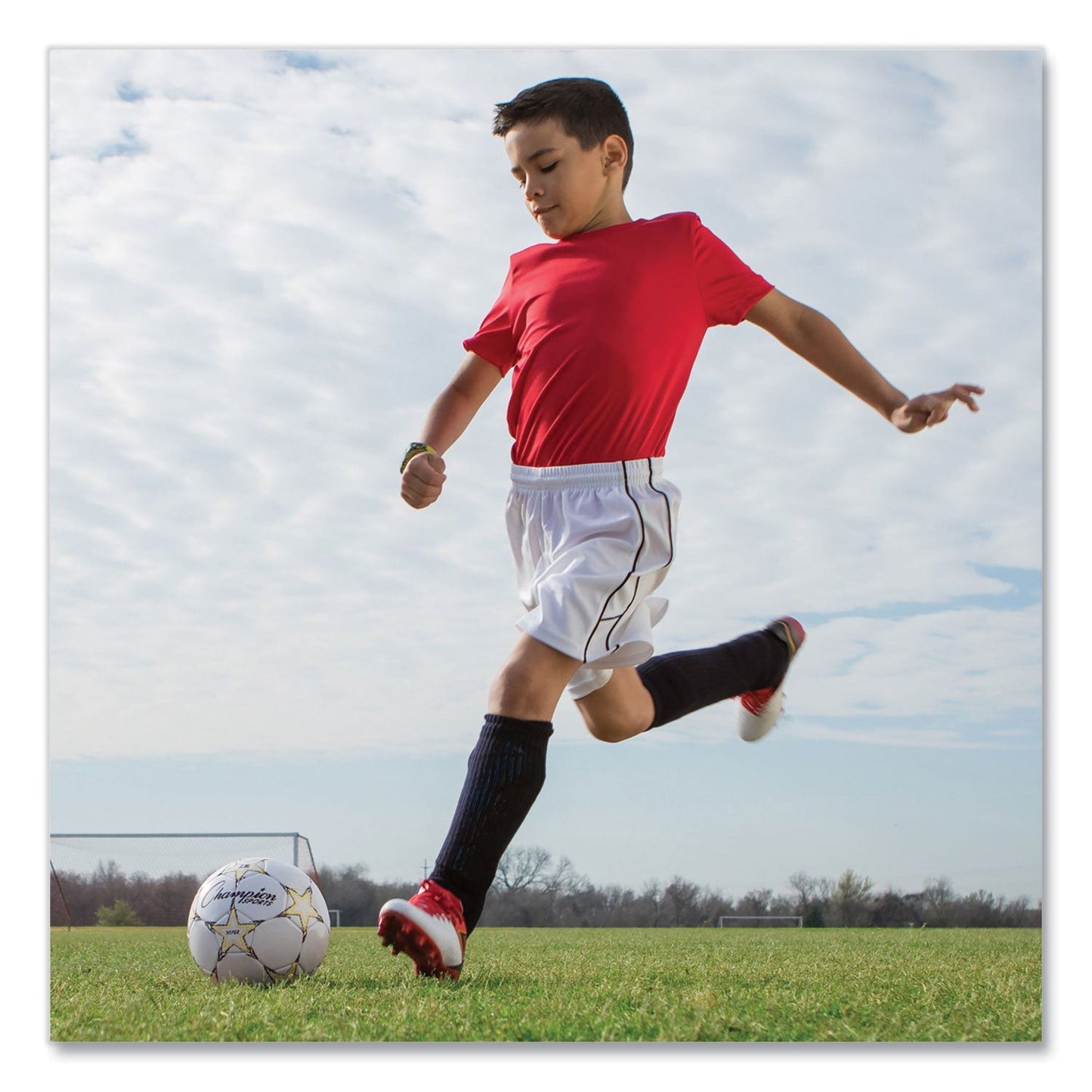 champion-viper-soccer-ball-num-csiviper3_6