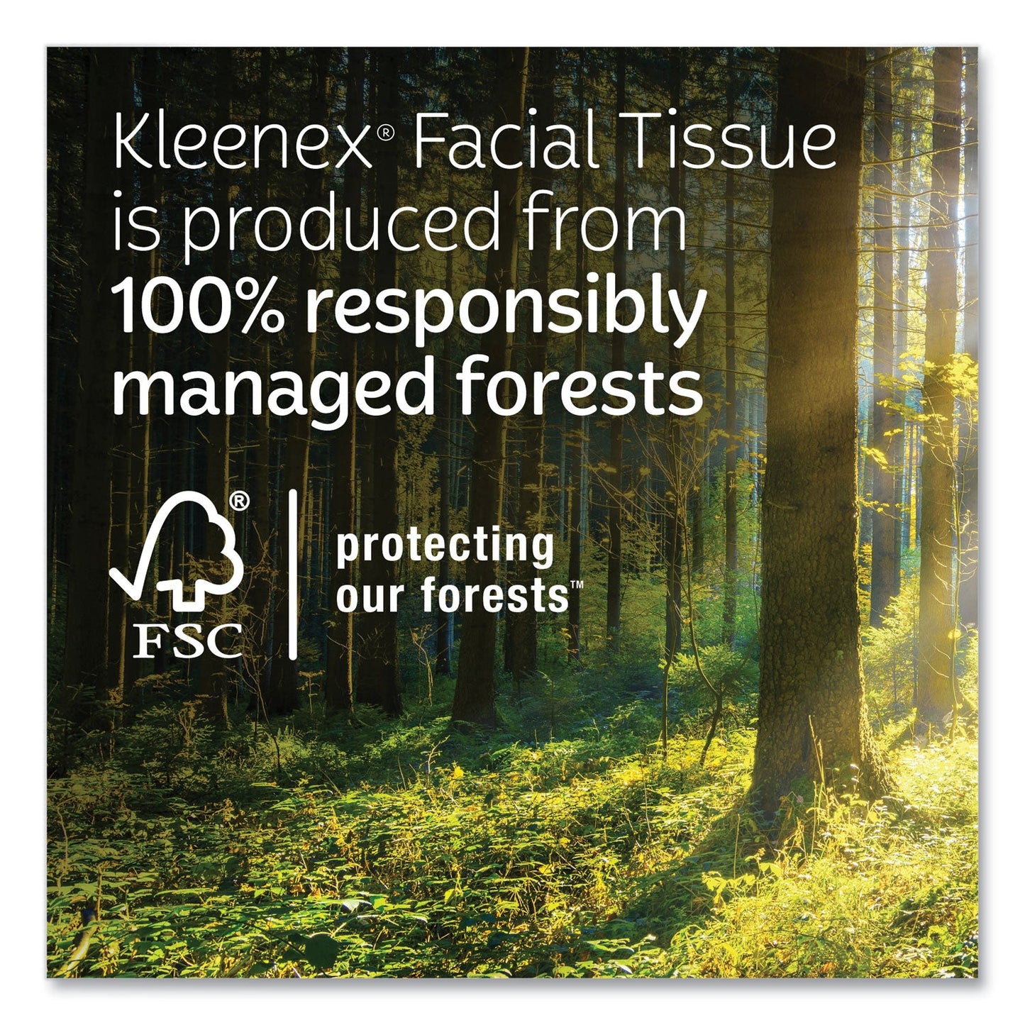 kleenex®-ultra-soft-facial-tissue-3-ply-white-60-sheets-box-4-boxes-pack-12-packs-carton-kcm54308_9