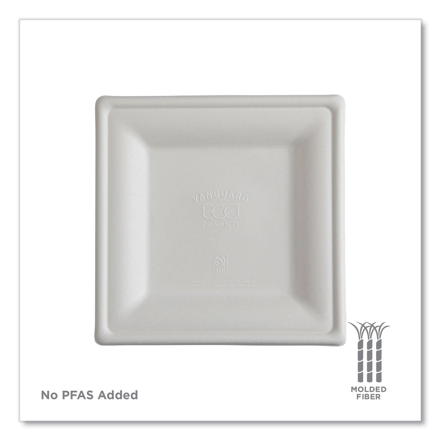 eco-products®-vanguard-renewable-and-compostable-sugarcane-plates-10-x-10-white-250-carton-ecoepp023nfa_11