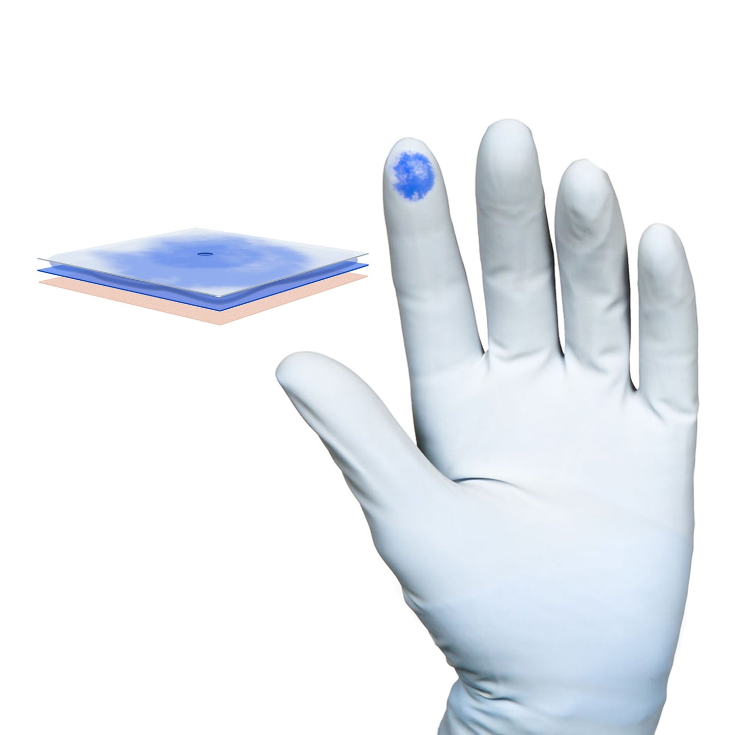 Biogel® PI Indicator® Underglove Surgical Underglove Size 8.5 Sterile Polyisoprene Standard Cuff Length Smooth Blue Chemo Tested (689036_BX)