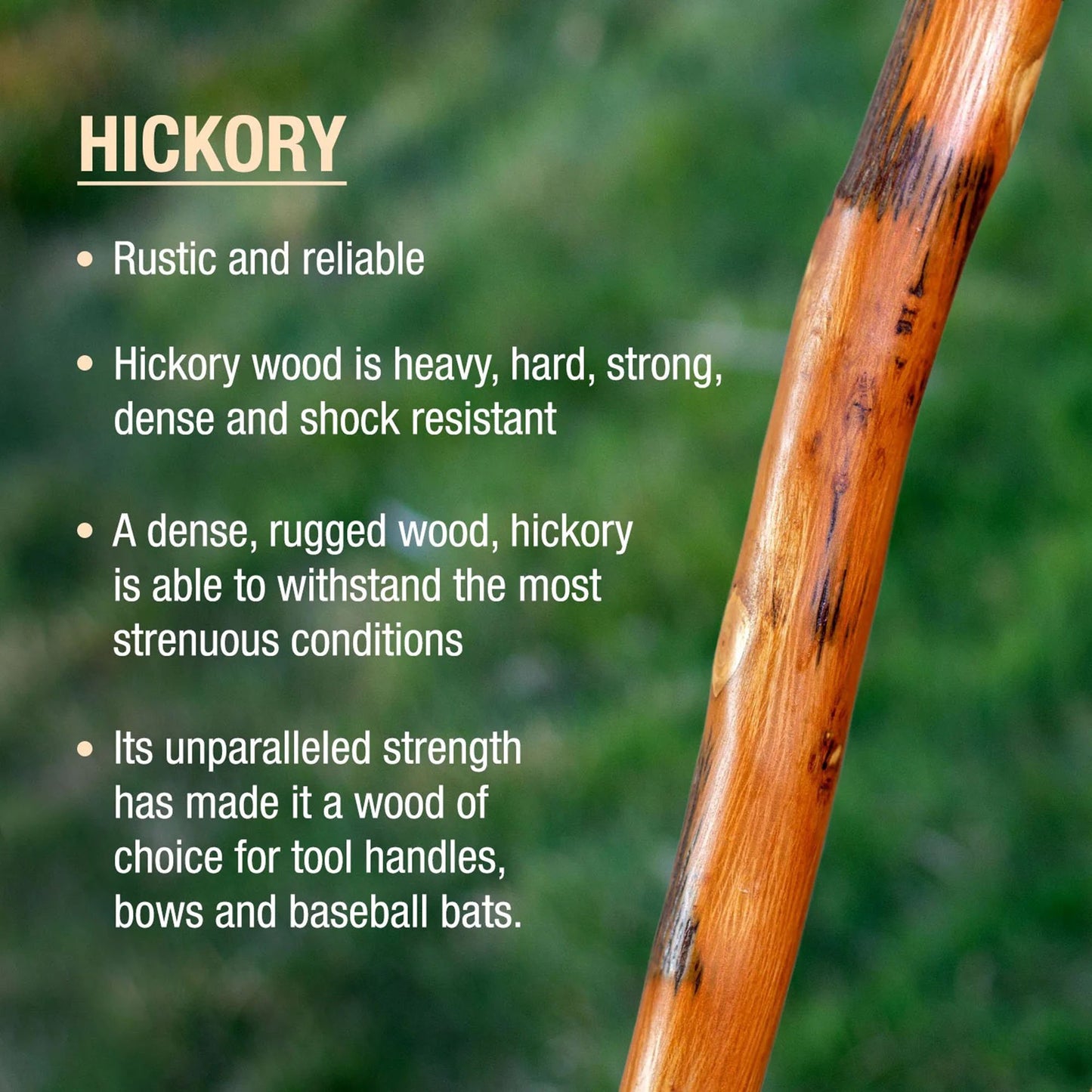 Brazos™ Free Form Walking Stick Wood 55 Inch Height Safari (1229071_EA)