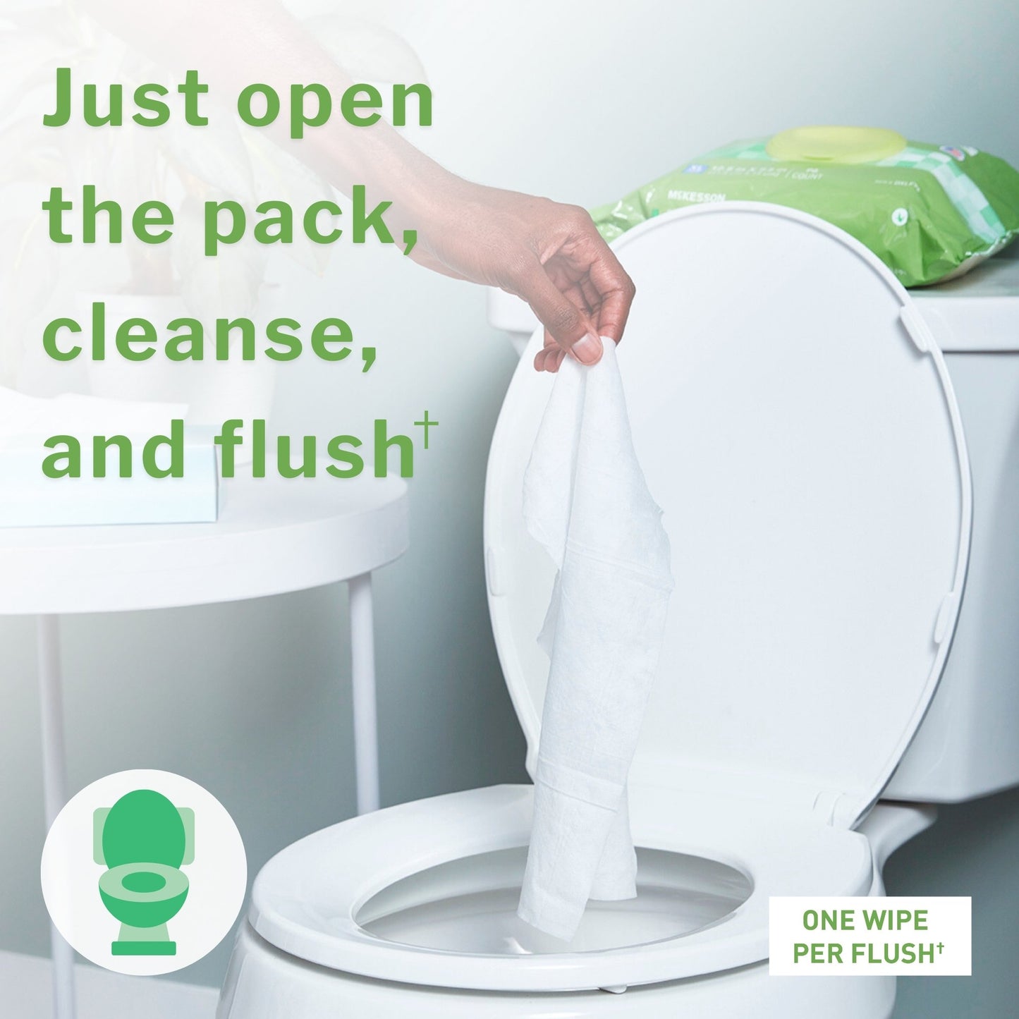 McKesson Flushable Personal Wipe Soft Pack Unscented 48 Count (1241745_PK)