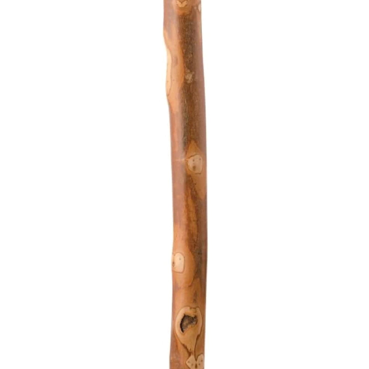 Brazos™ Walking Stick Wood 55 Inch Height American Hardwood (1229025_EA)