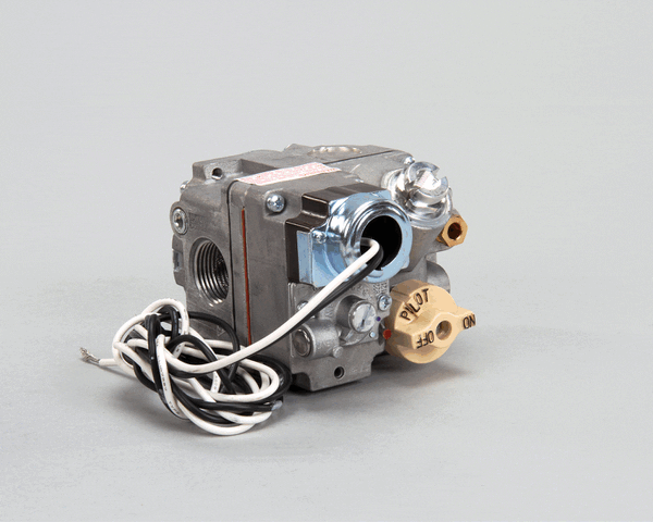 Anets P5045651 Valve,Gas 3/4 Bmser 120V Tpile N (ANEP5045651)
