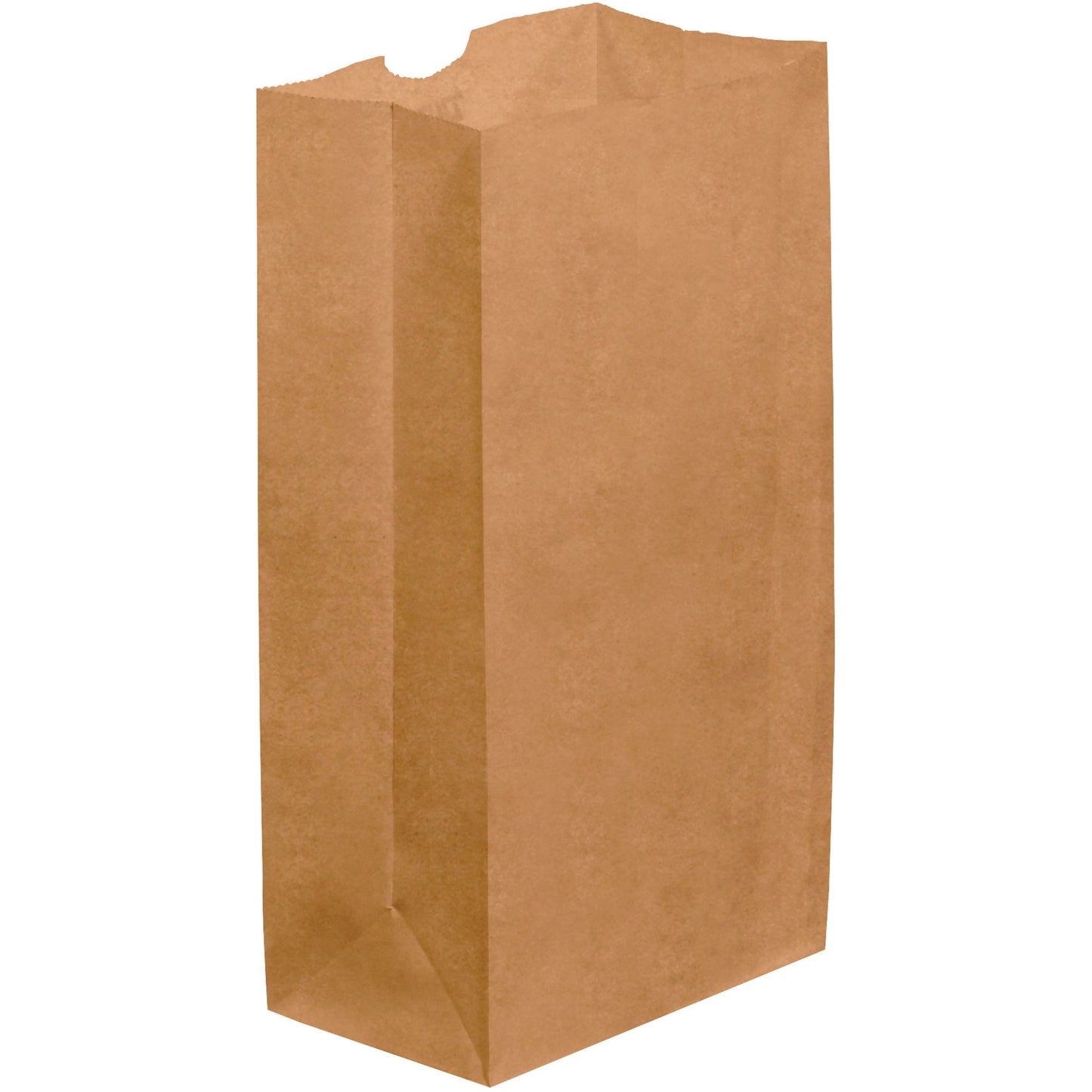 6-x-3-5-8-x-11-kraft-grocery-bags-bgg104k_1