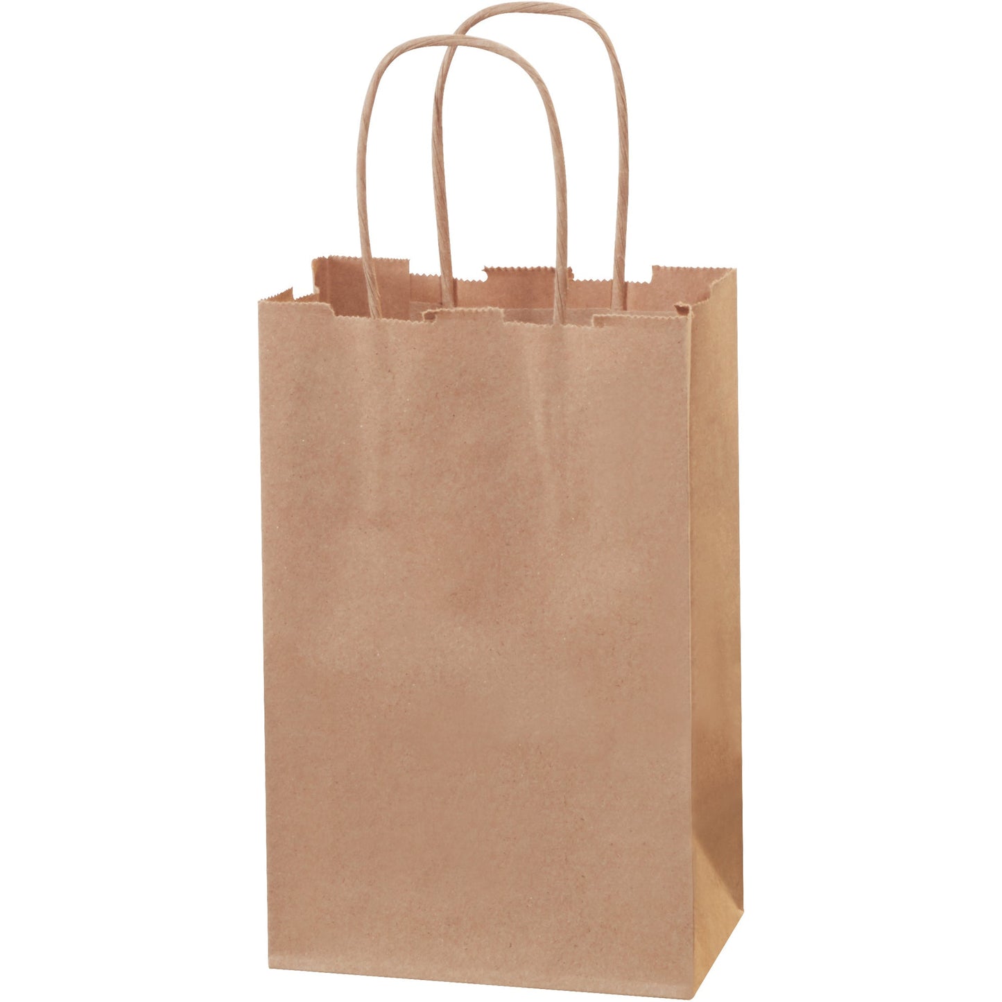5-1-2-x-3-1-4-x-8-3-8-kraft-paper-shopping-bags-bgs101k_1