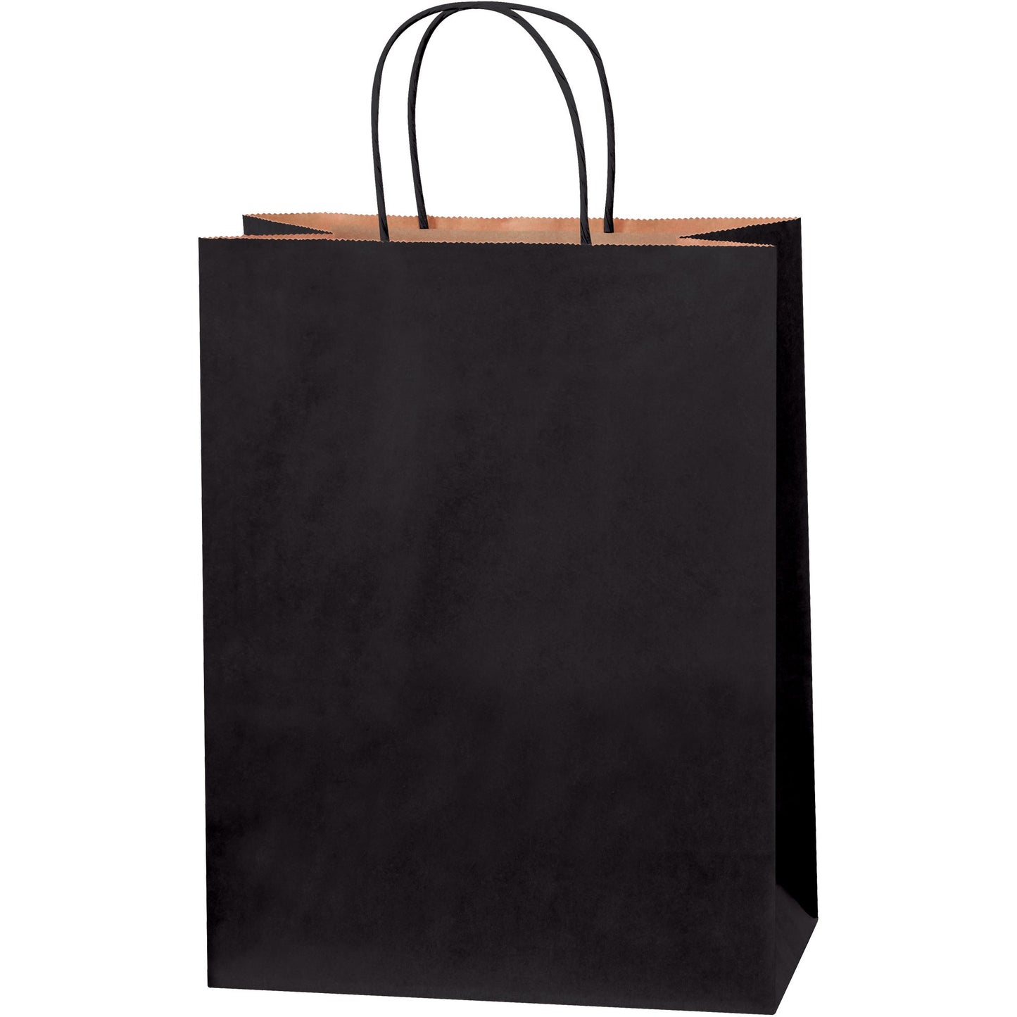 10-x-5-x-13-black-tinted-shopping-bags-bgs104bl_1