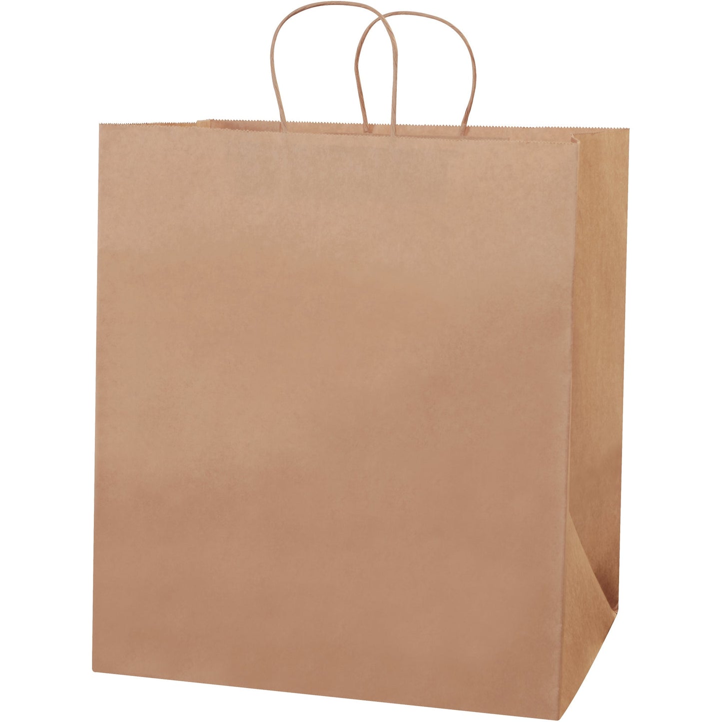 14-1-2-x-9-x-16-1-4-kraft-paper-shopping-bags-bgs107k_1