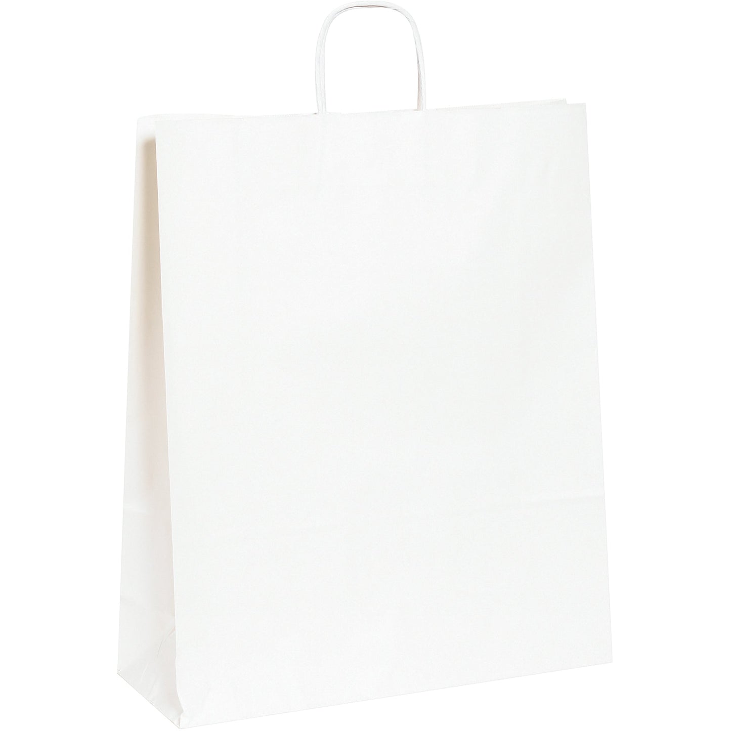 16-x-6-x-19-1-4-white-paper-shopping-bags-bgs110w_1