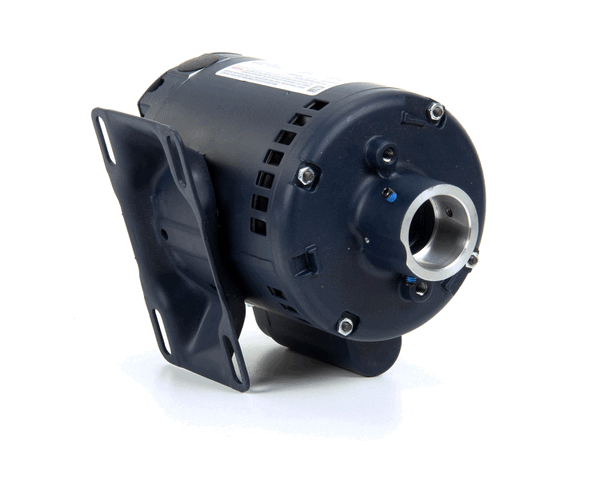 BKI M0053 Motor, Leeson Less Cord/Pump (BKIM0053)