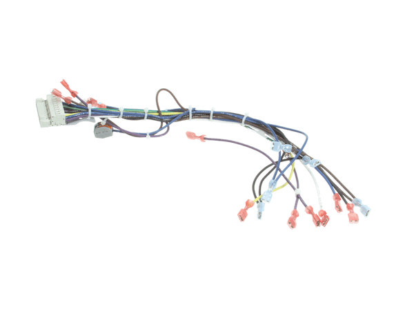 Blodgett 39235 Harness,Cntl Sh1G/Zephg 2Spd (BL39235)