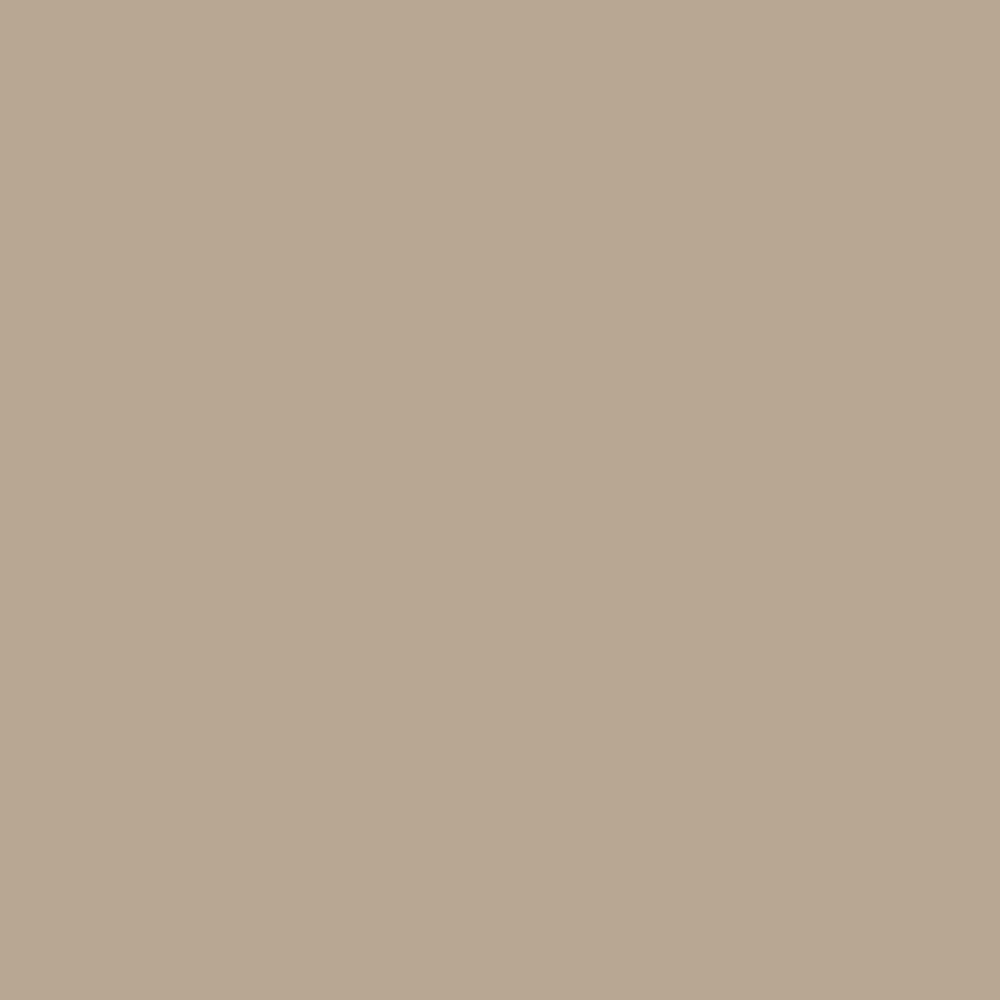 Arkwright Home® Host & Home Hand Towel 16x28 Beige, Case of 60 (HT-HH1628-BG-CS)