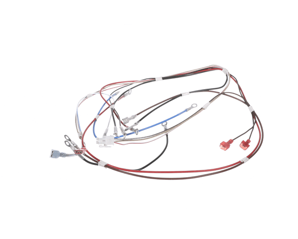 Bunn 12576.0008 Wiring Harness, H5 Dgtl Dspl 208V/240V (BU12576-0008)
