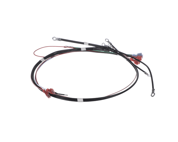 Bunn 26081.0003 Wiring Harn, 200-240V On/Off (BU26081-0003)