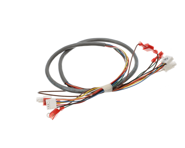 Bunn 41202.0008 Wiring Harness, Door-Cbdspct (BU41202-0008)